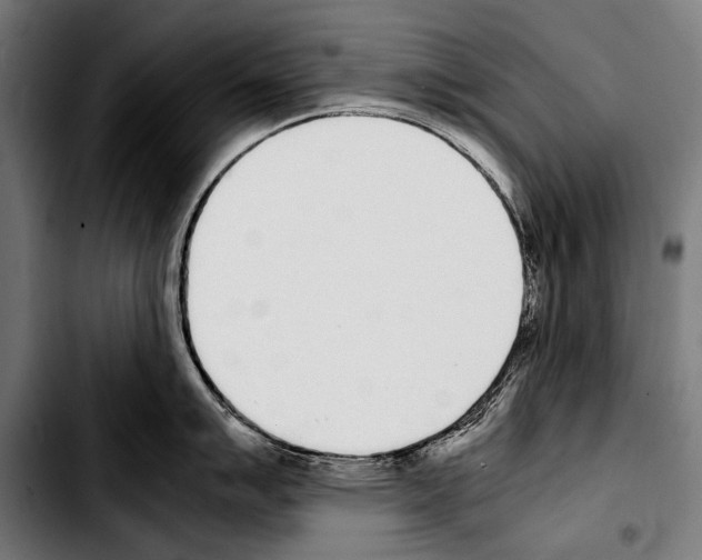 X0000103331007200810171420