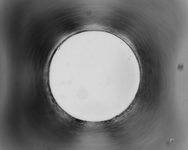 X0000103331008200810171420