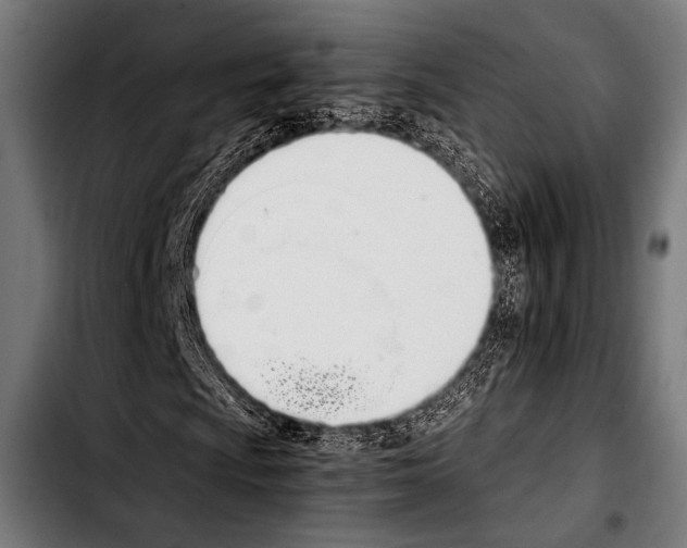 X0000103331009200810171419