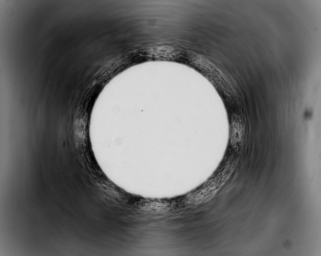 X0000103331010200810171419