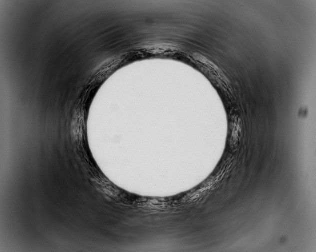 X0000103331014200810171419