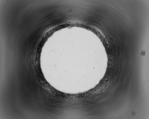 X0000103331016200810171419