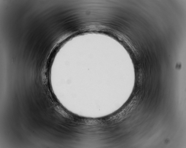 X0000103331018200810171419