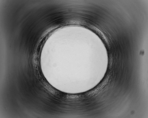 X0000103331019200810171419