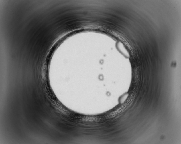 X0000103331021200810171419