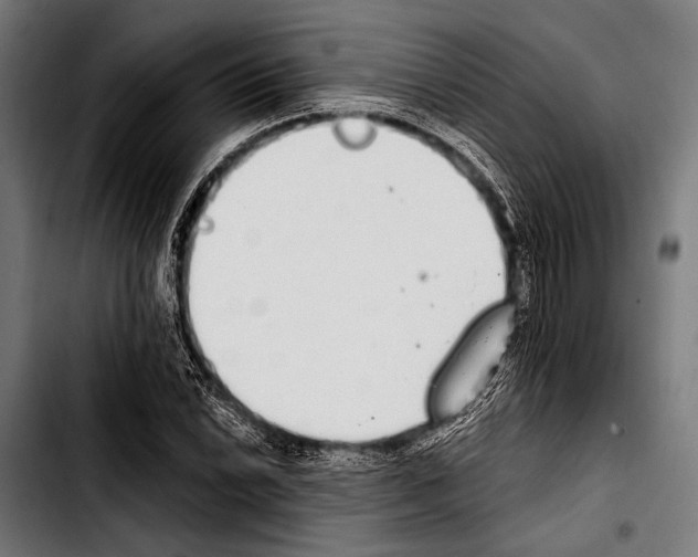 X0000103331022200810171419