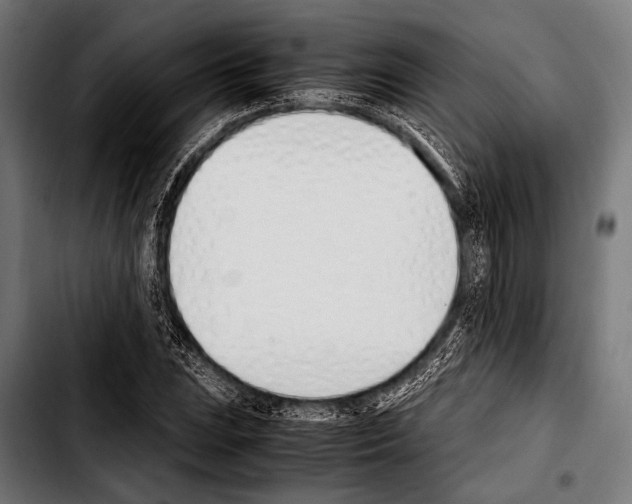 X0000103331023200810171419