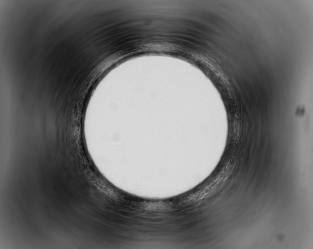 X0000103331025200810171419