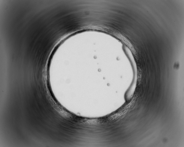 X0000103331028200810171419