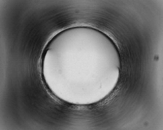 X0000103331030200810171419