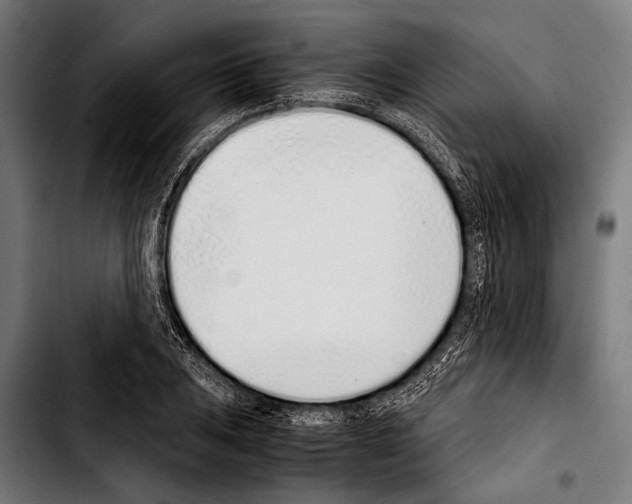 X0000103331031200810171419