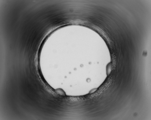 X0000103331032200810171419