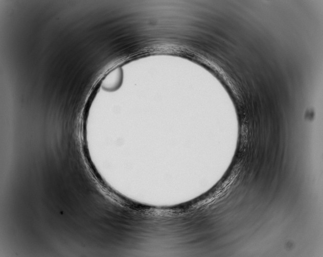 X0000103331034200810171419