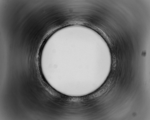 X0000103331035200810171419