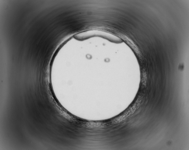 X0000103331036200810171419