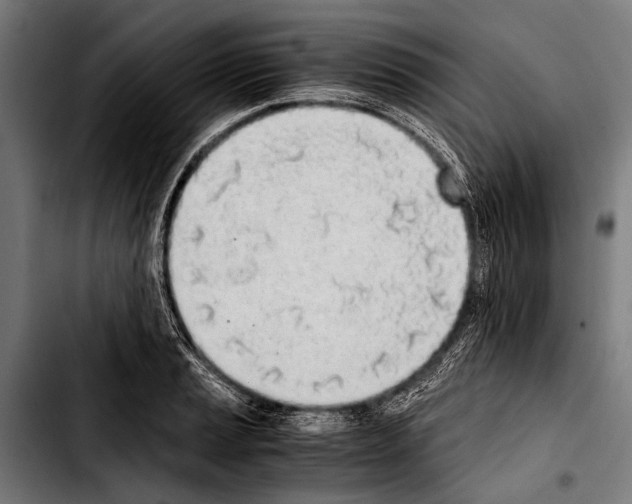 X0000103331037200810171419