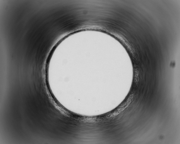 X0000103331038200810171419