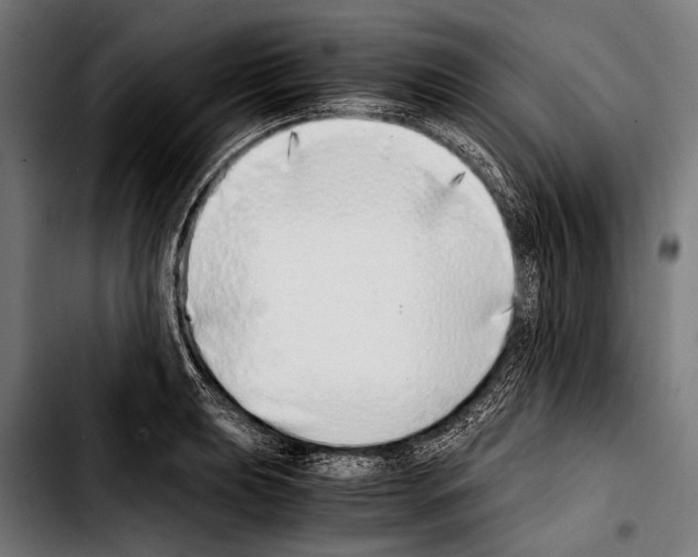 X0000103331039200810171419