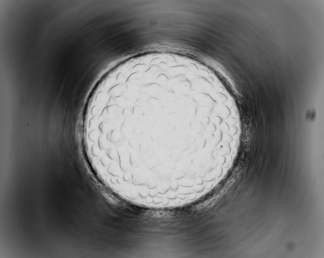 X0000103331040200810171419