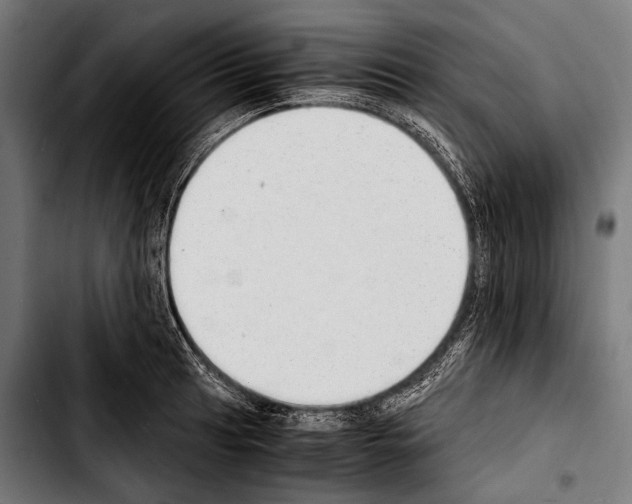 X0000103331041200810171419