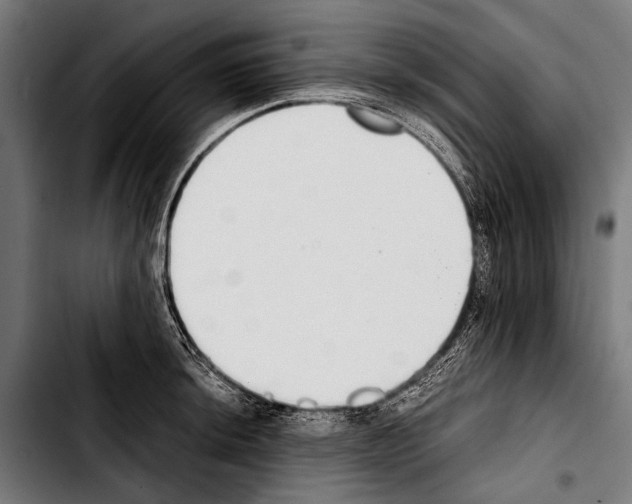 X0000103331044200810171419