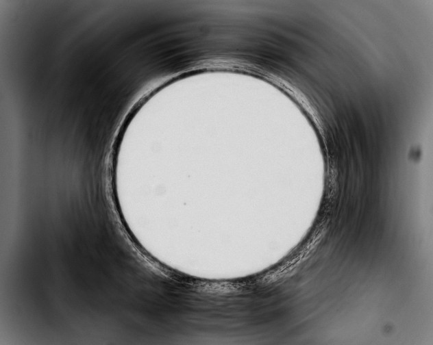 X0000103331045200810171419