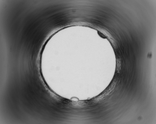 X0000103331046200810171419