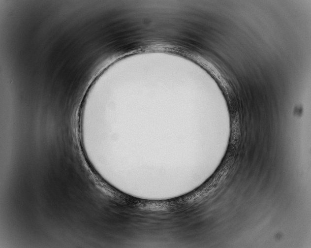 X0000103331047200810171419