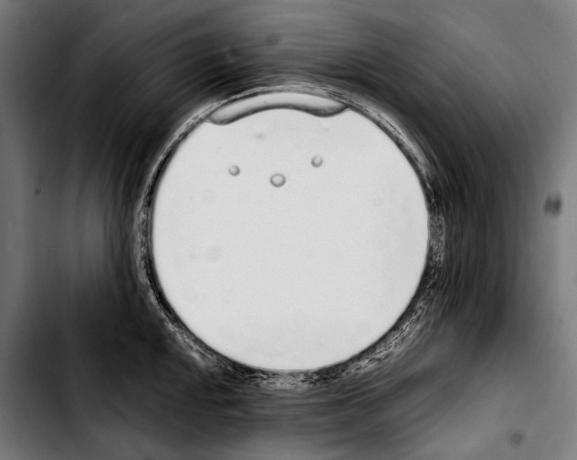 X0000103331048200810171419