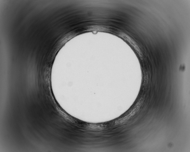 X0000103331049200810171419