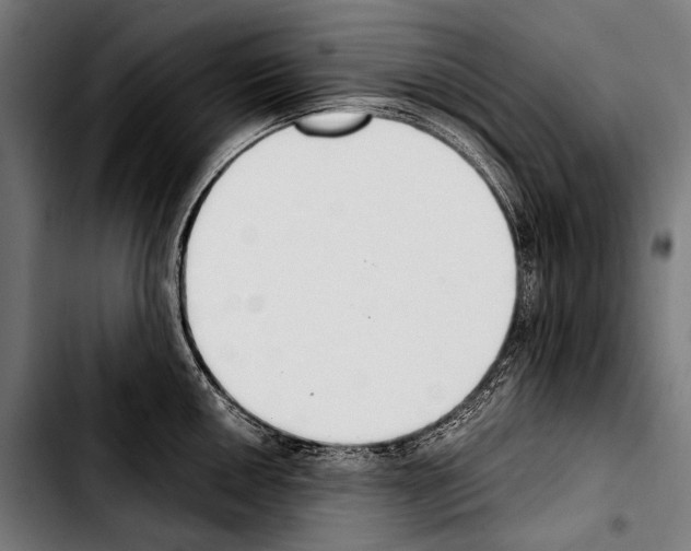 X0000103331050200810171419