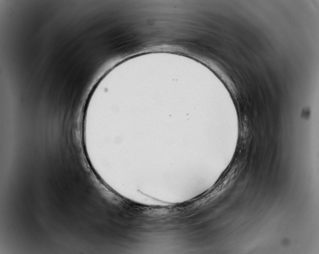 X0000103331054200810171420