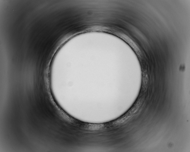 X0000103331055200810171420