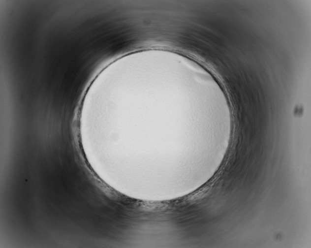 X0000103331056200810171420