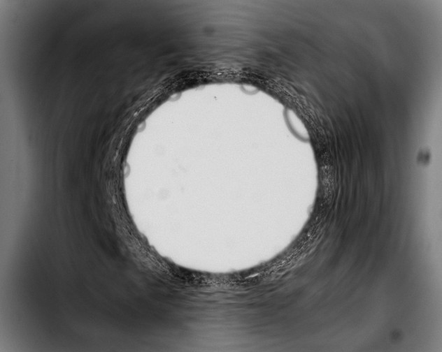 X0000103331057200810171419