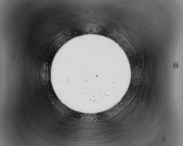 X0000103331058200810171419