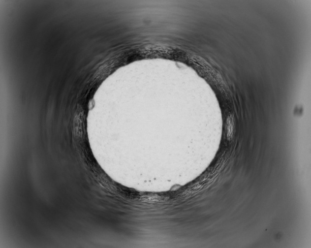 X0000103331059200810171419