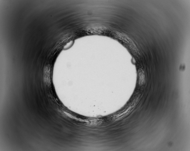 X0000103331060200810171419