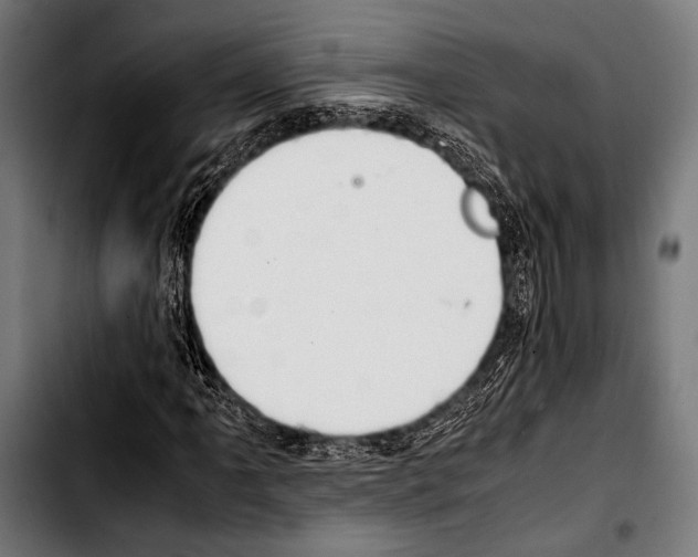 X0000103331061200810171419