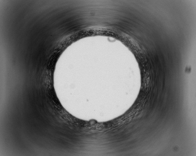 X0000103331062200810171419