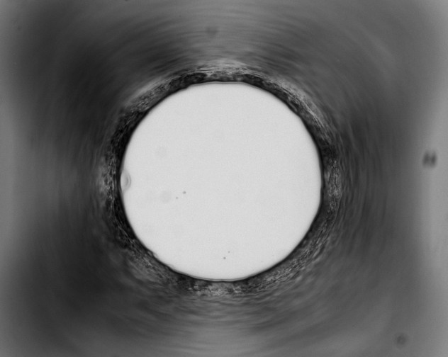 X0000103331063200810171419