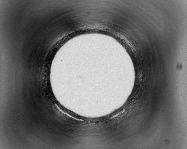 X0000103331064200810171419