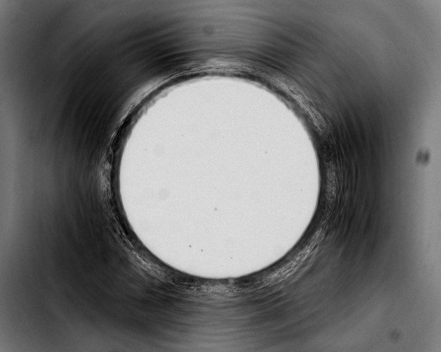 X0000103331066200810171419