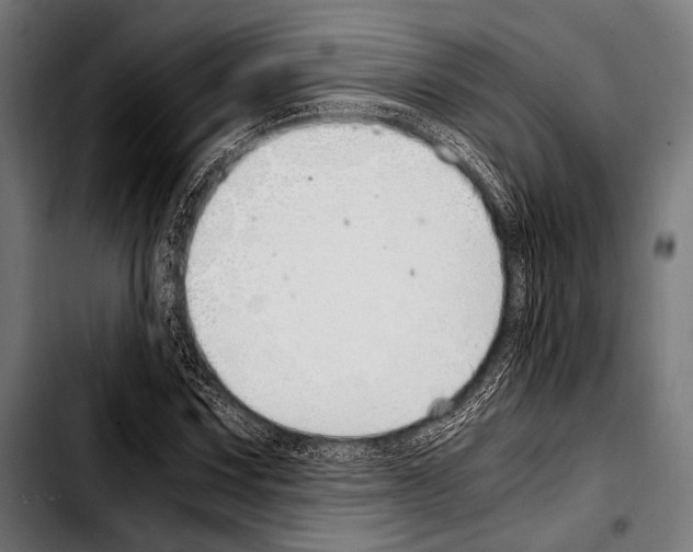 X0000103331067200810171419