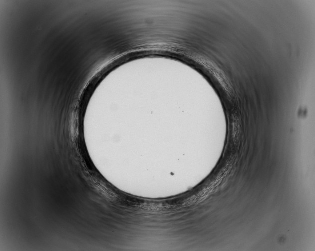 X0000103331069200810171419