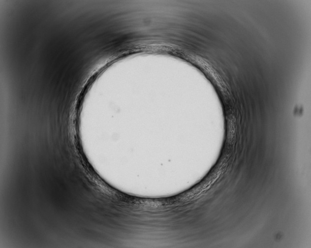 X0000103331071200810171419