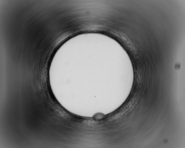 X0000103331073200810171419