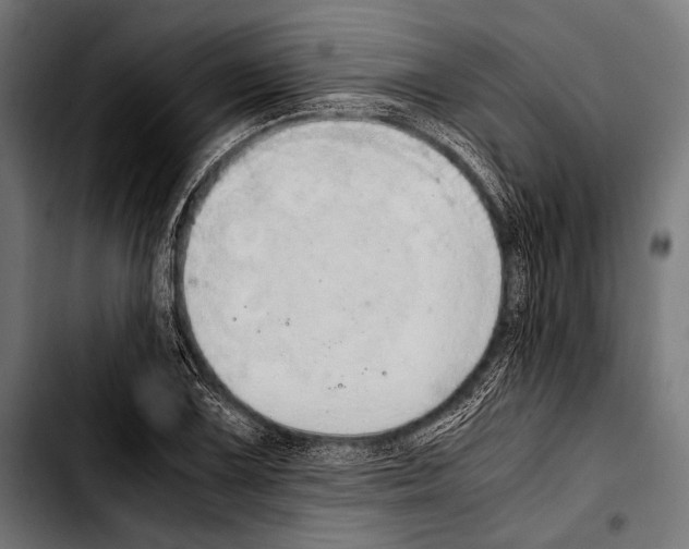 X0000103331075200810171419