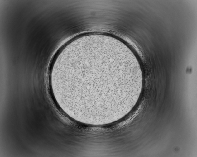 X0000103331077200810171419