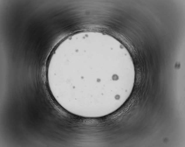 X0000103331079200810171419